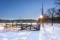 Sunny winter day with snow