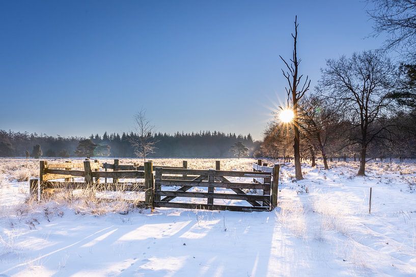 Sunny winter day with snow by Lynxs Photography