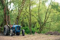 Traktor im Wald von Wolf Schouten Miniaturansicht