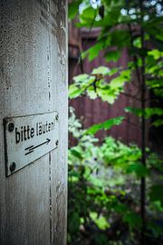 Souvenirs estompés - Le bouclier abandonné et le retour discret de la nature sur Infinite Decay