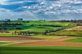 landschap van Bas Quaedvlieg