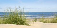 Op het lange badstrand op Langeoog