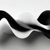 Monochrome Flow – Abstracte Zwart-Wit Kunst in Beweging van Gelissen Artworks