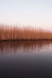 Reflection of reeds in the water after the sun went down. by Wouter van der Weerd