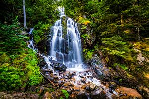 Cascade de la Pissoire, Frankrijk van Lex van Lieshout