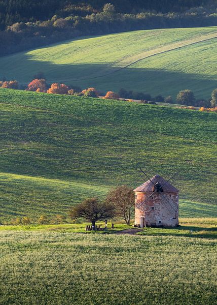 Vertikale Version einer alten Windmühle in Mähren von Anges van der Logt