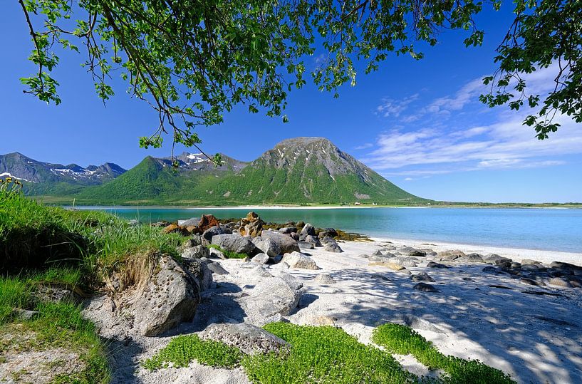 Lofoten, Norway by Sabrina de Vries
