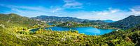 Panorama van de heuvels en baai bij Makarska, Kroatië van Rietje Bulthuis thumbnail