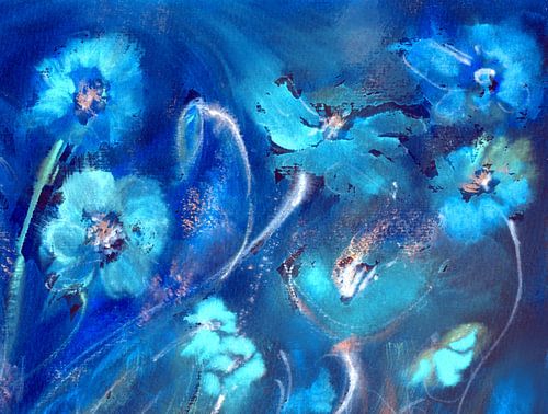 Geluid van de papaver in het blauw