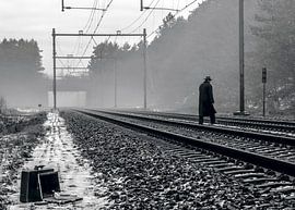 Purpurner Regen von Job Kok