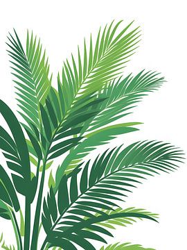 Fronde de palmier tropical sur Giandra Safaraz