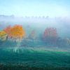 Brume matinale sur une prairie avec des arbres aux couleurs d'automne sur Jos van den Berg