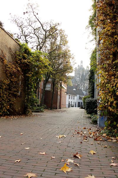 View of St John's cathedral in Den Bosch by Christel Smits