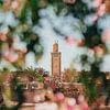 Minaret à Marrakech Encadré de Fleurs sur Dave Adriaanse - Photography