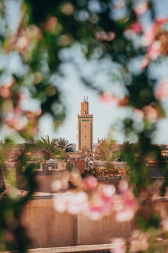 Minarett in Marrakesch Durch Blüten Gerahmt