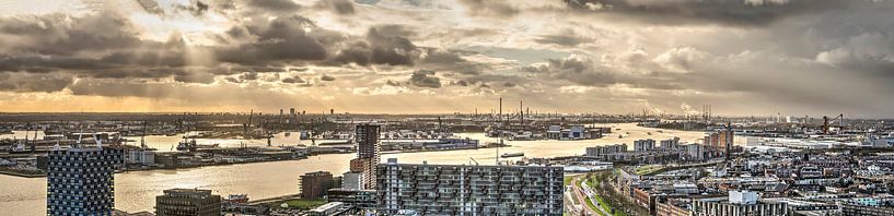 Panorama Rotterdamse Haven van Frans Blok