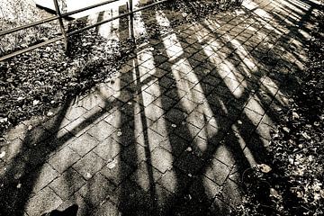 Schaduw van bomen en hek over trottoir, retro kleuren van Jan Willem de Groot Photography