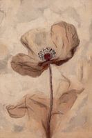 Einfache Mondblume | Terrakotta