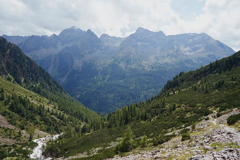 Blick auf das Tal bei Gries von Lisanne Storm