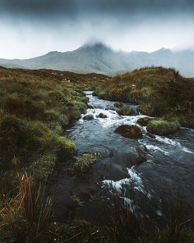 Entre le brouillard et l'eau qui coule