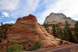 Sticking out by Frank's Awesome Travels