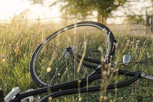 Close-up van een liggende fiets midden in een bloemenweide van Besa Art