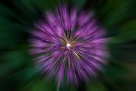 Blumen von Franke de Jong Miniaturansicht