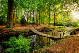 Estate De Braak Paterswolde