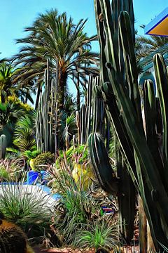 Reuzencactussen Jardin Majorelle Marrakech van Dorothy Berry-Lound