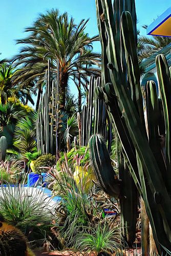Reuzencactussen Jardin Majorelle Marrakech