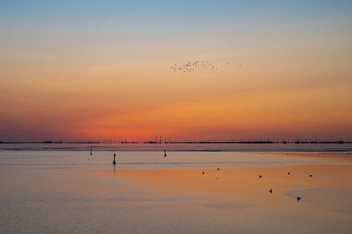 The Dollard from the Kiekkaaste overlooking Emden by Frank Tauran