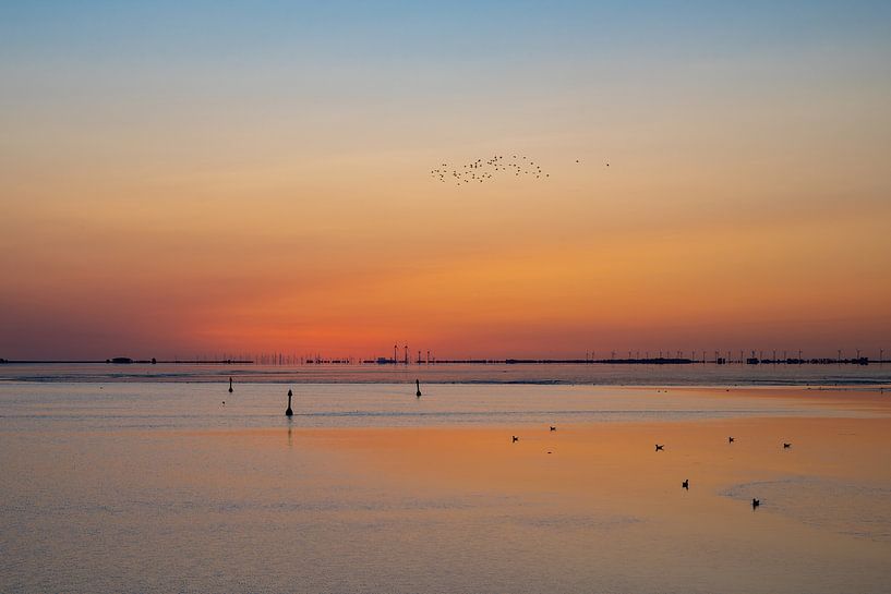 The Dollard from the Kiekkaaste overlooking Emden by Frank Tauran