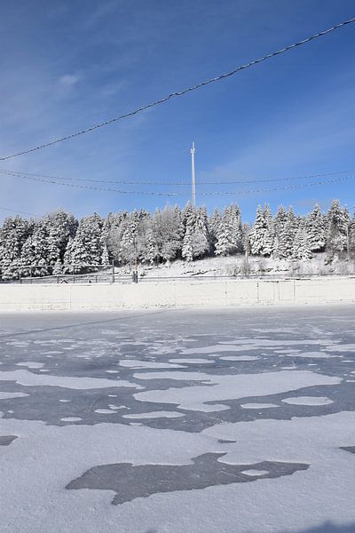 The village's ice rink by Claude Laprise