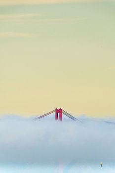 StreetArt by Susan San Fransisco