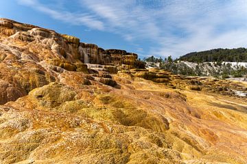 Mammoth Hot Springs, Yellowstone National Park, USA van Jeroen van Deel