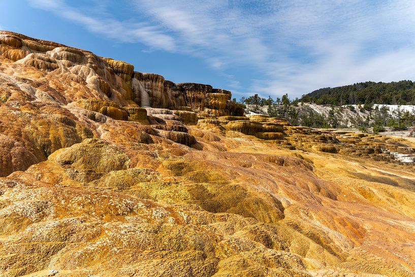 Mammoth Hot Springs, Yellowstone National Park, USA by Jeroen van Deel