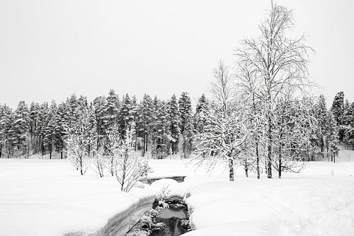 Warme bron in ijslandschap, Finland
