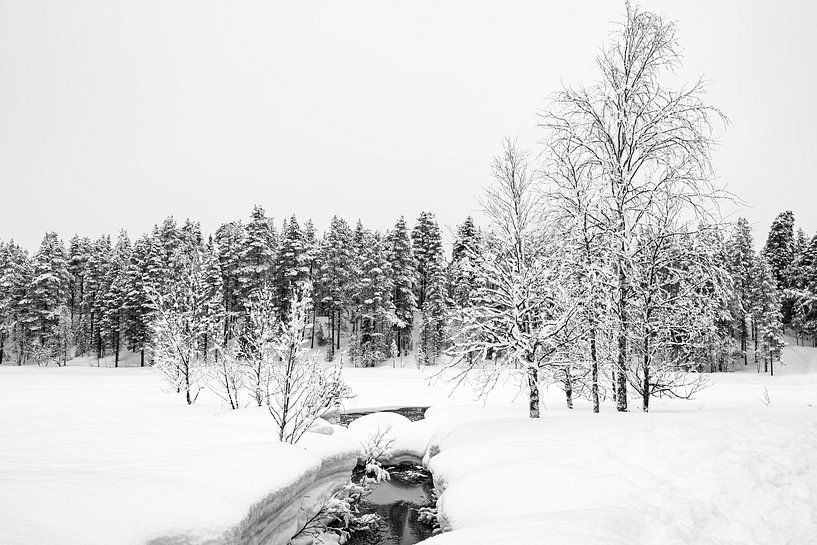 Heiße Quelle im Eisland, Finnland von Rietje Bulthuis