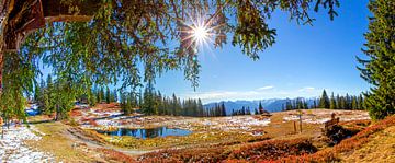 Ein Herbstpanorama am Rossbrand