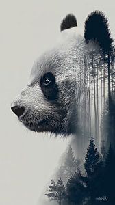 Pandabär / Pandabär