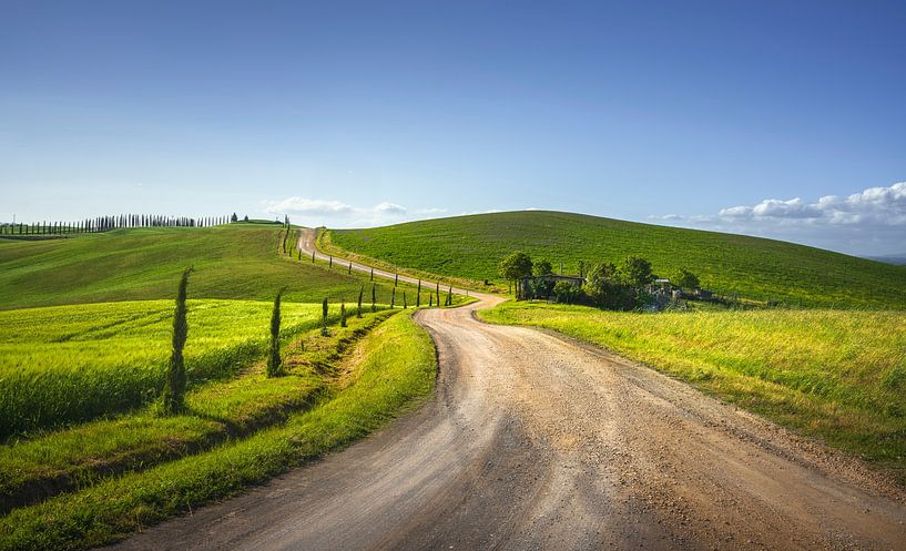 Die Route der Via Francigena. Eine kurvenreiche Straße. Toskana von Stefano Orazzini