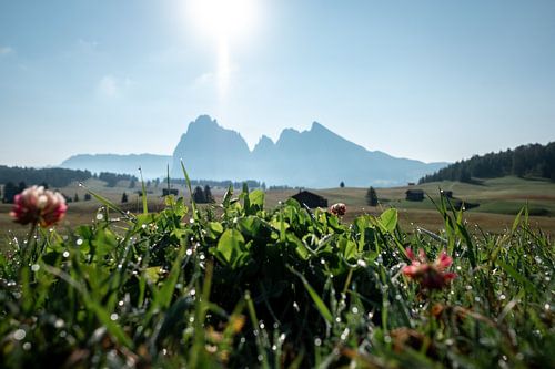 Hike over Alpe di Siusi (Seiser Alm) II | A Journey through the Dolomites, Italy