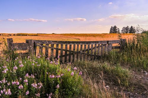 Een hek in landschap