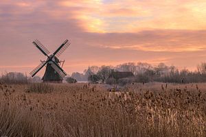 Noordermolen in Noorddijk Groningen