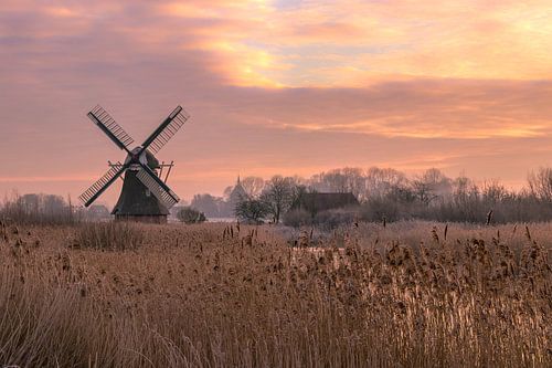Noordermolen à Noorddijk Groningen