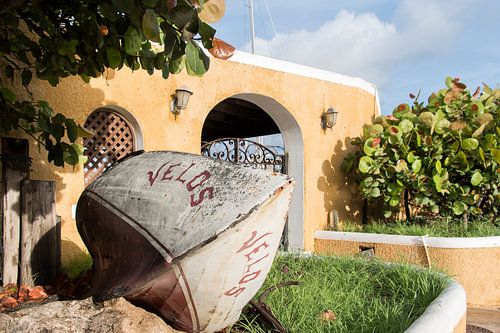 Stilleven details in de tuin