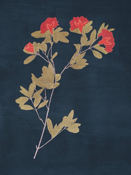 Pomegranate Blossom by Adriano Oliveira