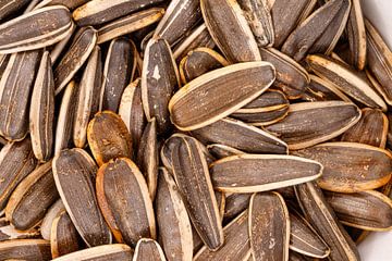 Délicieuses graines de tournesol apportant des acides gras oméga-6 sains sur de-nue-pic