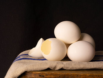 Eier