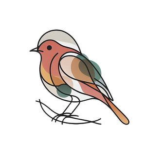 robin
